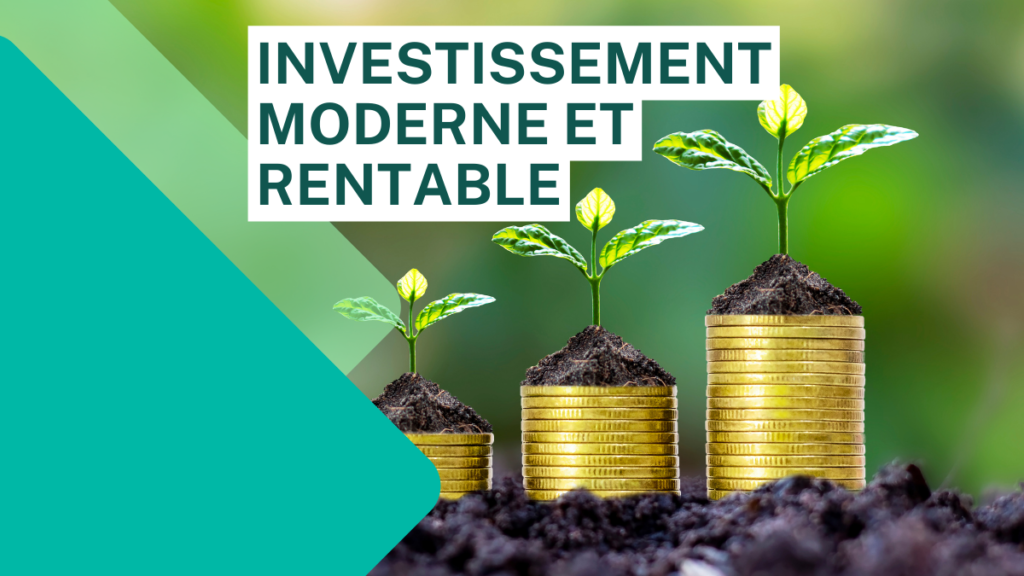 Investissement moderne et rentable