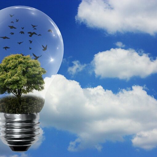 Investir dans la transition énergétique avec le crowdfunding et Enerfip